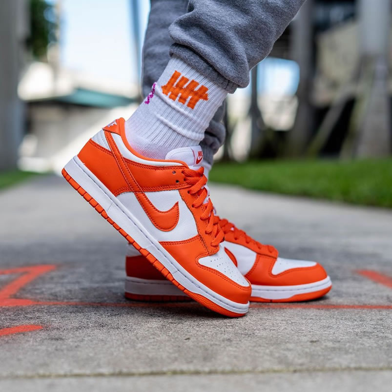 Nike Sb Dunk Low Sp Syracuse Orange Blaze Cu1726 101 On Feet (1) - newkick.vip