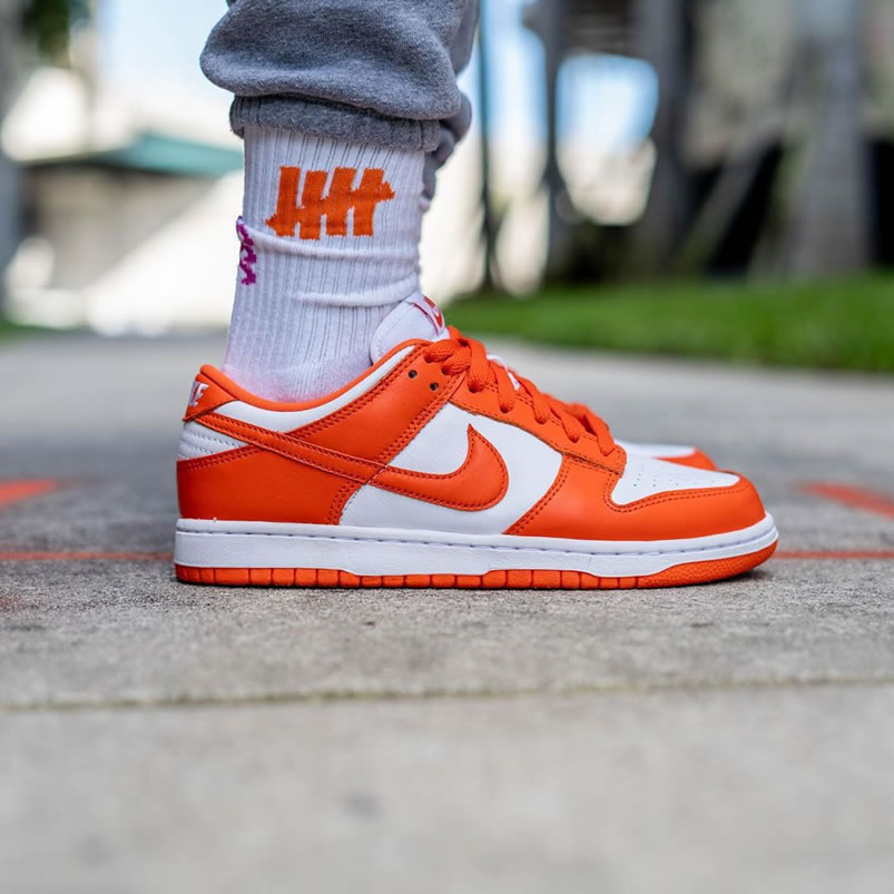 Nike Sb Dunk Low Sp Syracuse Orange Blaze Cu1726 101 On Feet (3) - newkick.vip