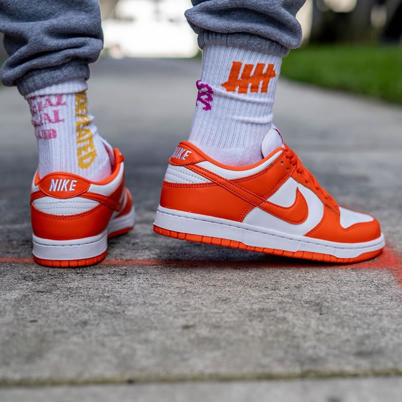 Nike Sb Dunk Low Sp Syracuse Orange Blaze Cu1726 101 On Feet (5) - newkick.vip