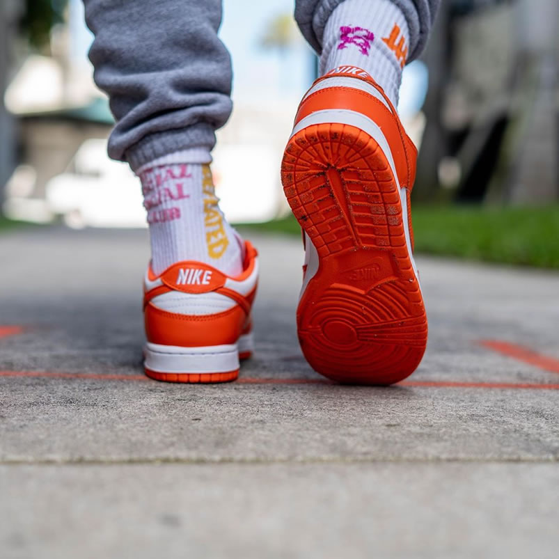 Nike Sb Dunk Low Sp Syracuse Orange Blaze Cu1726 101 On Feet (7) - newkick.vip