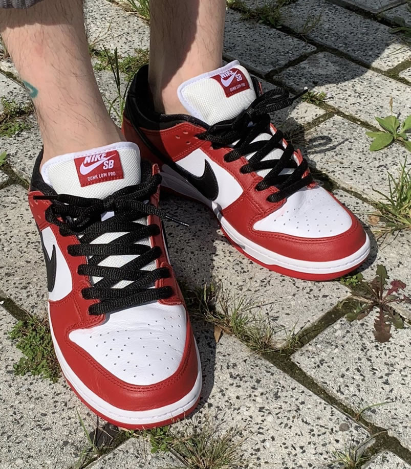 Nike Sb Dunk Low Pro Chicago Varsity Red Release Date On Feet Bq6817 600 (7) - newkick.vip