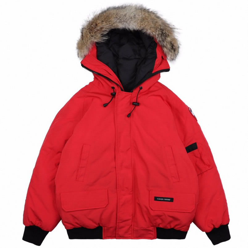 01 Canada Goose 19fw Pbi Chilliwack 7999mpb Down Jacket Coat Red (1) - newkick.vip