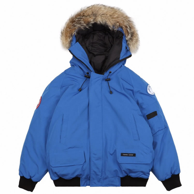 01 Canada Goose 19fw Pbi Chilliwack 7999mpb Down Jacket Coat Sky Blue (1) - newkick.vip