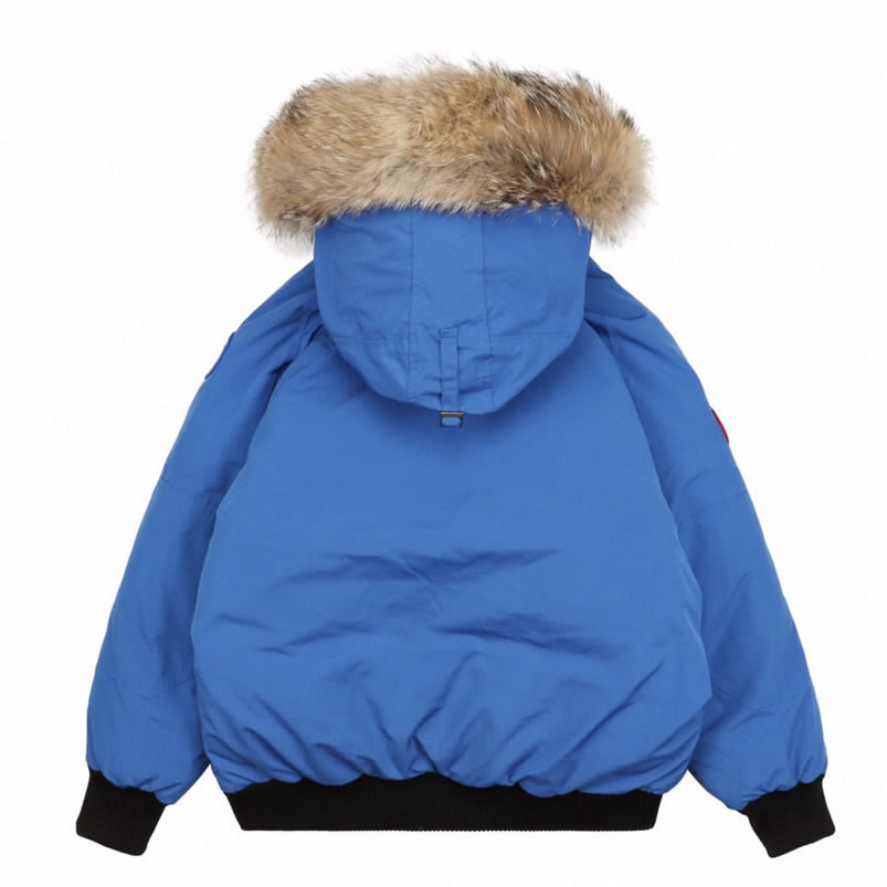 01 Canada Goose 19fw Pbi Chilliwack 7999mpb Down Jacket Coat Sky Blue (2) - newkick.vip