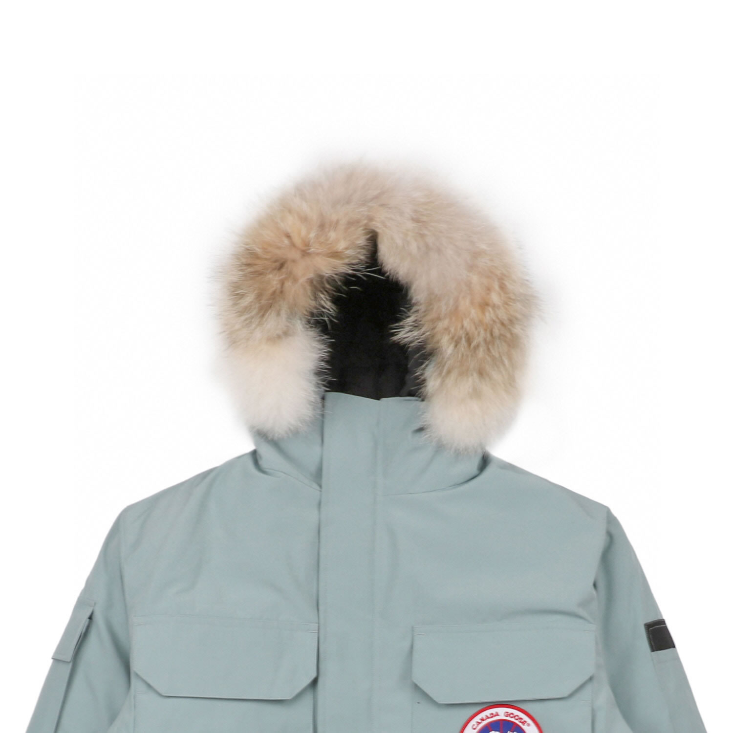 08 Canada Goose 19fw Expedition 4660ma Down Jacket Coat Cyan (3) - newkick.vip