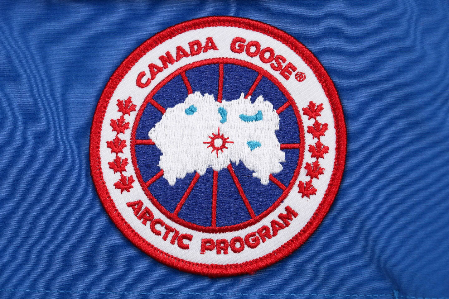 08 Canada Goose 19fw Expedition 4660ma Down Jacket Coat Sky Blue (6) - newkick.vip