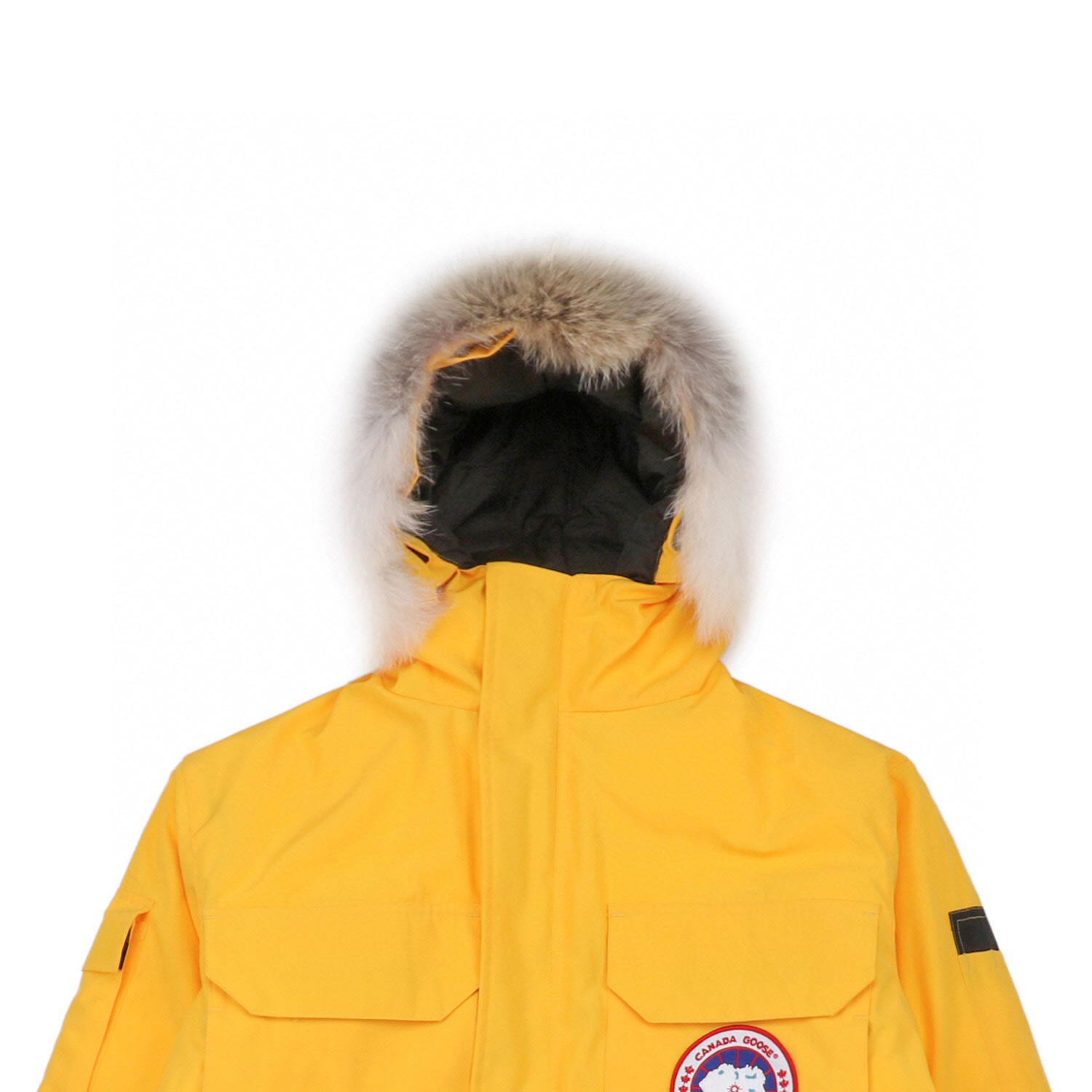 08 Canada Goose 19fw Expedition 4660ma Down Jacket Coat Yellow (4) - newkick.vip