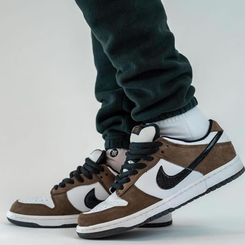 Nike Sb Dunk Low Trail End Brown Black White On Feet 304292 102 (3) - newkick.vip