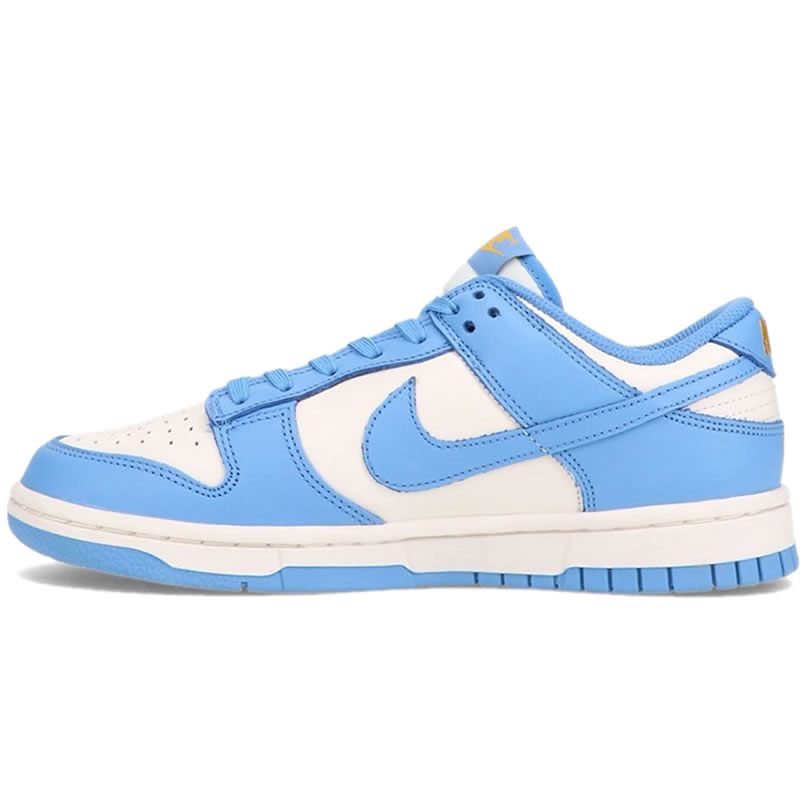 Nike Dunk Low Coast Dd1503 100 (1) - newkick.vip