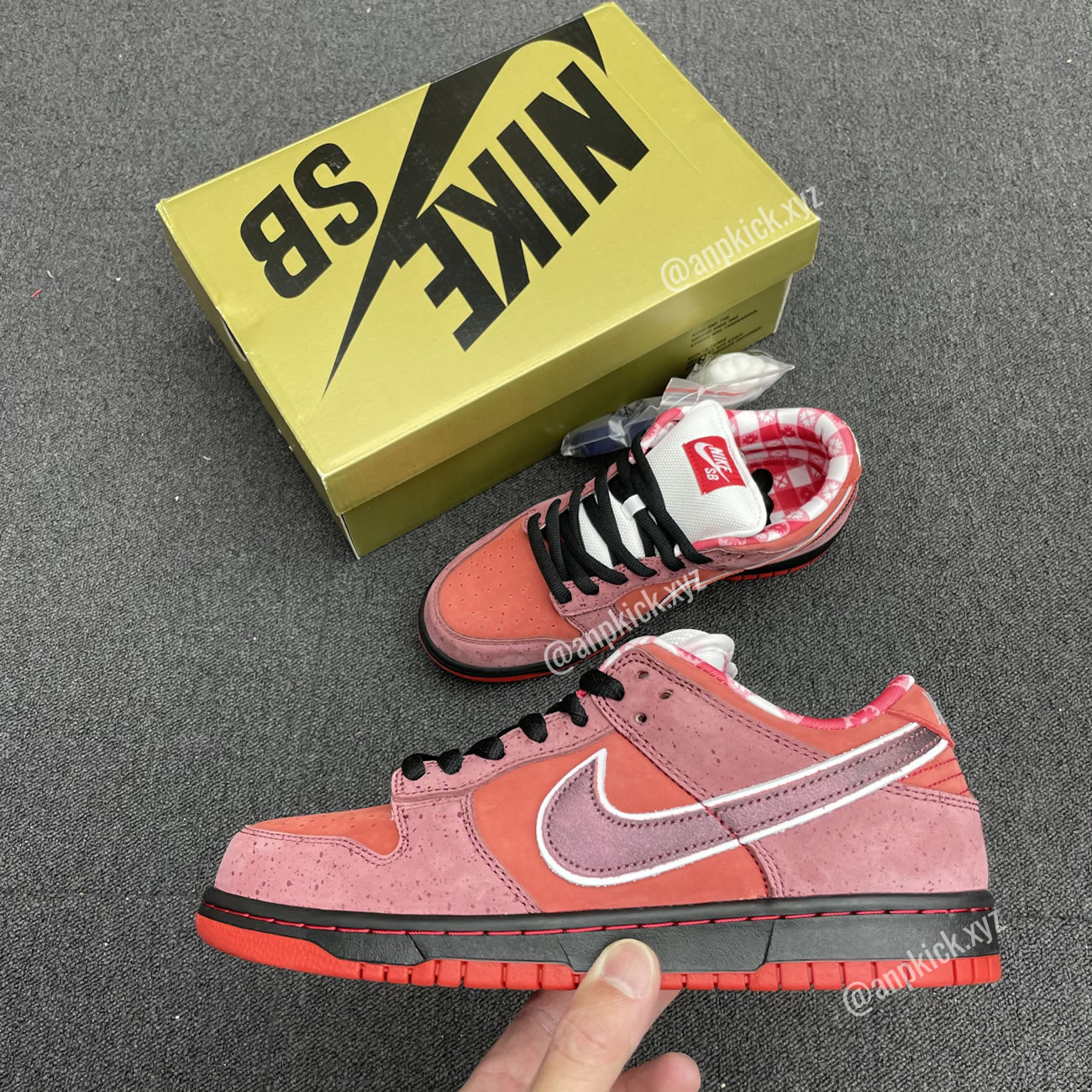 Anpkick Nike Sb Dunk Low Concepts Red Lobster 313170 661 (2) - newkick.vip