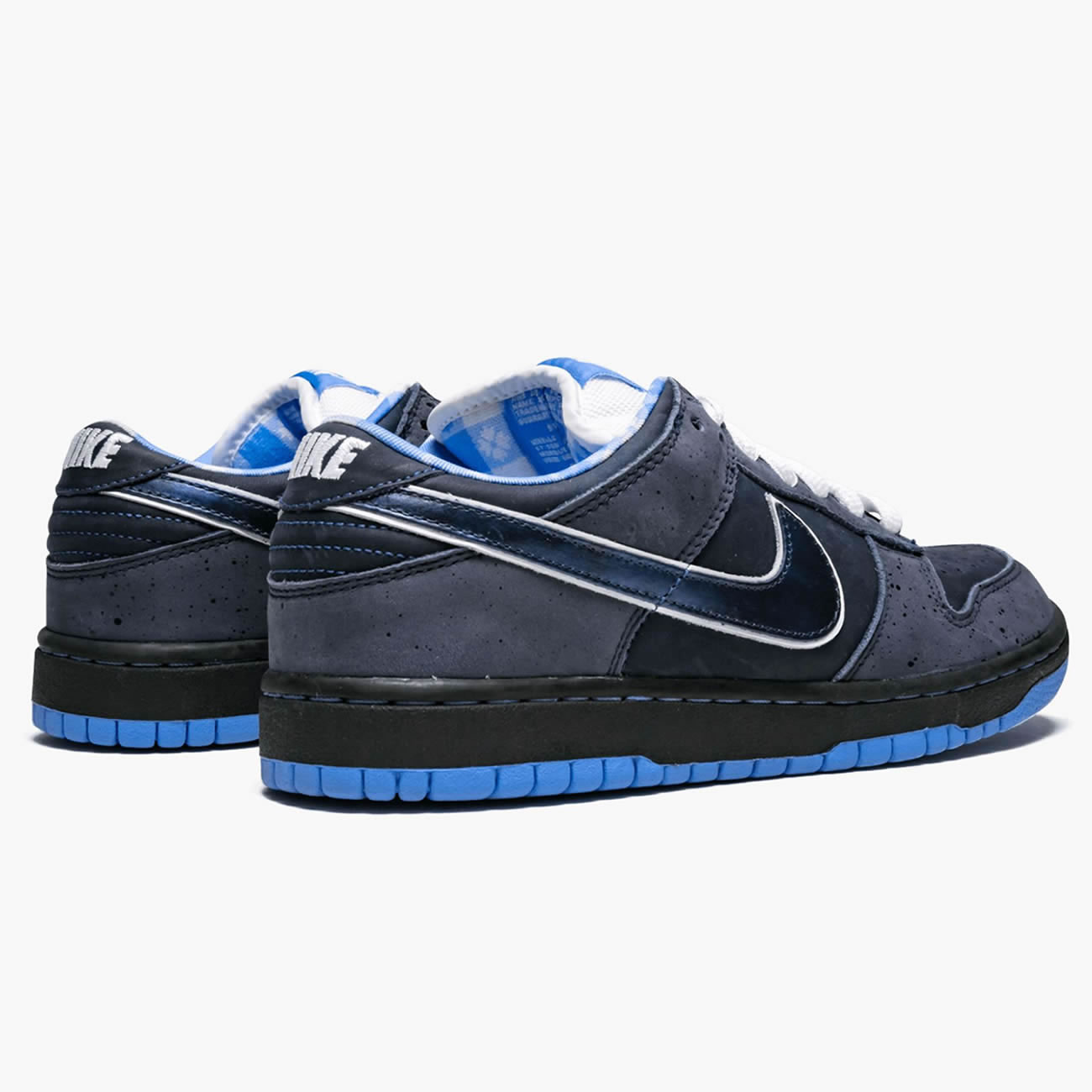 Nike Sb Dunk Low Concepts Bluelobster 313170 342 (3) - newkick.vip