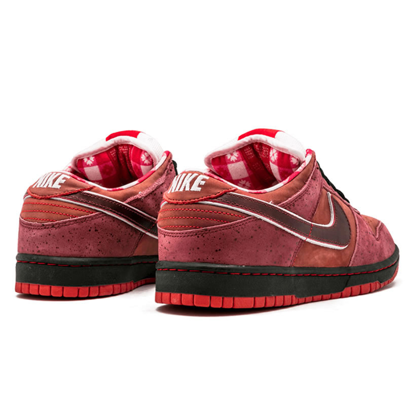 Nike Sb Dunk Low Concepts Red Lobster 313170 661 (3) - newkick.vip