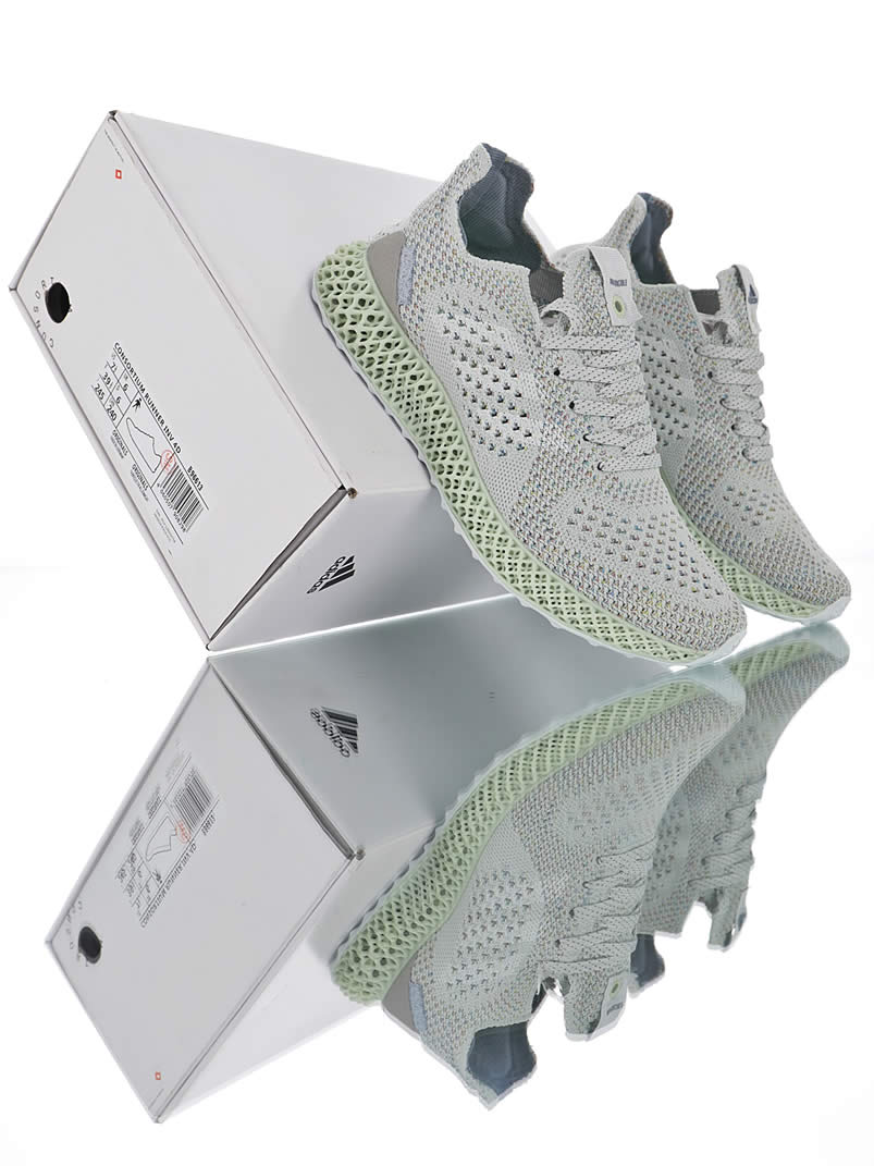 Adidas Consortium Futurecraft 4d Invincible Prism Primeknit Shoes B96613 (14) - newkick.vip