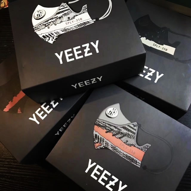 Adidas Yeezy Boost 350 V2 Face Mask (1) - newkick.vip