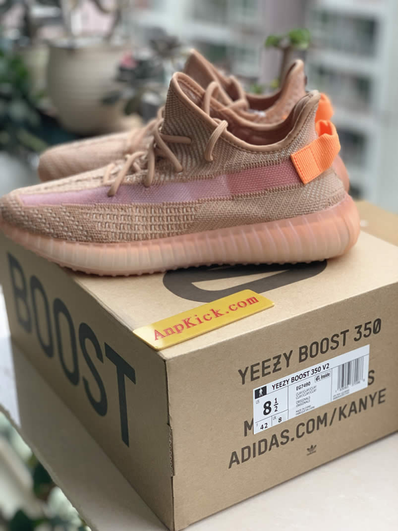 Adidas Yeezy Boost 350 V2 Clay 2019 For Sale Anpkick Release Date Eg7490 (3) - newkick.vip