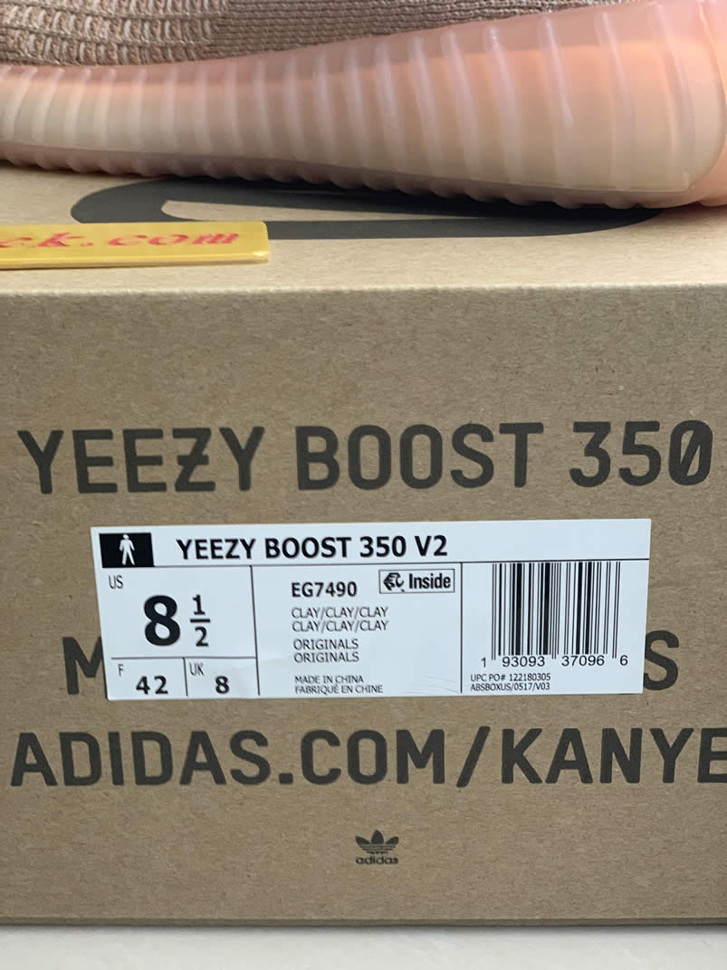 Adidas Yeezy Boost 350 V2 Clay 2019 For Sale Anpkick Release Date Eg7490 (4) - newkick.vip