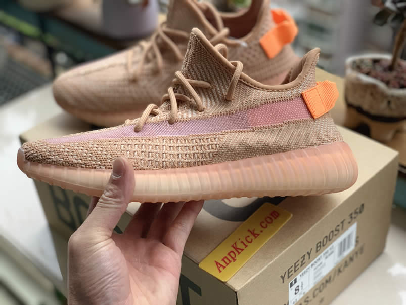 Adidas Yeezy Boost 350 V2 Clay 2019 For Sale Anpkick Release Date Eg7490 (6) - newkick.vip