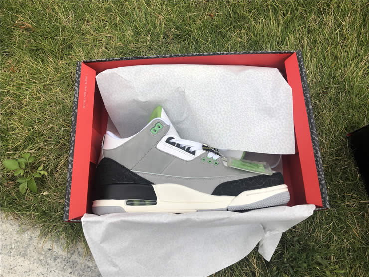 Air Jordan 3 Tinker 'Chlorophyll / Air Trainer 1' 136064-006 Pics