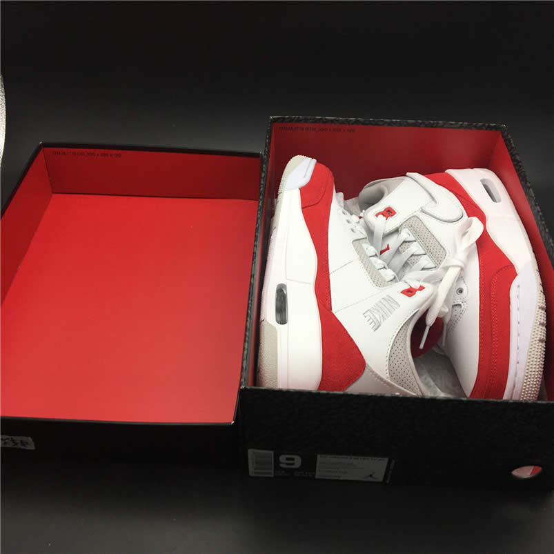 Air Jordan 3 Tinker Hatfield Sp University Red Anpkick Cj0939 100 (1) - newkick.vip