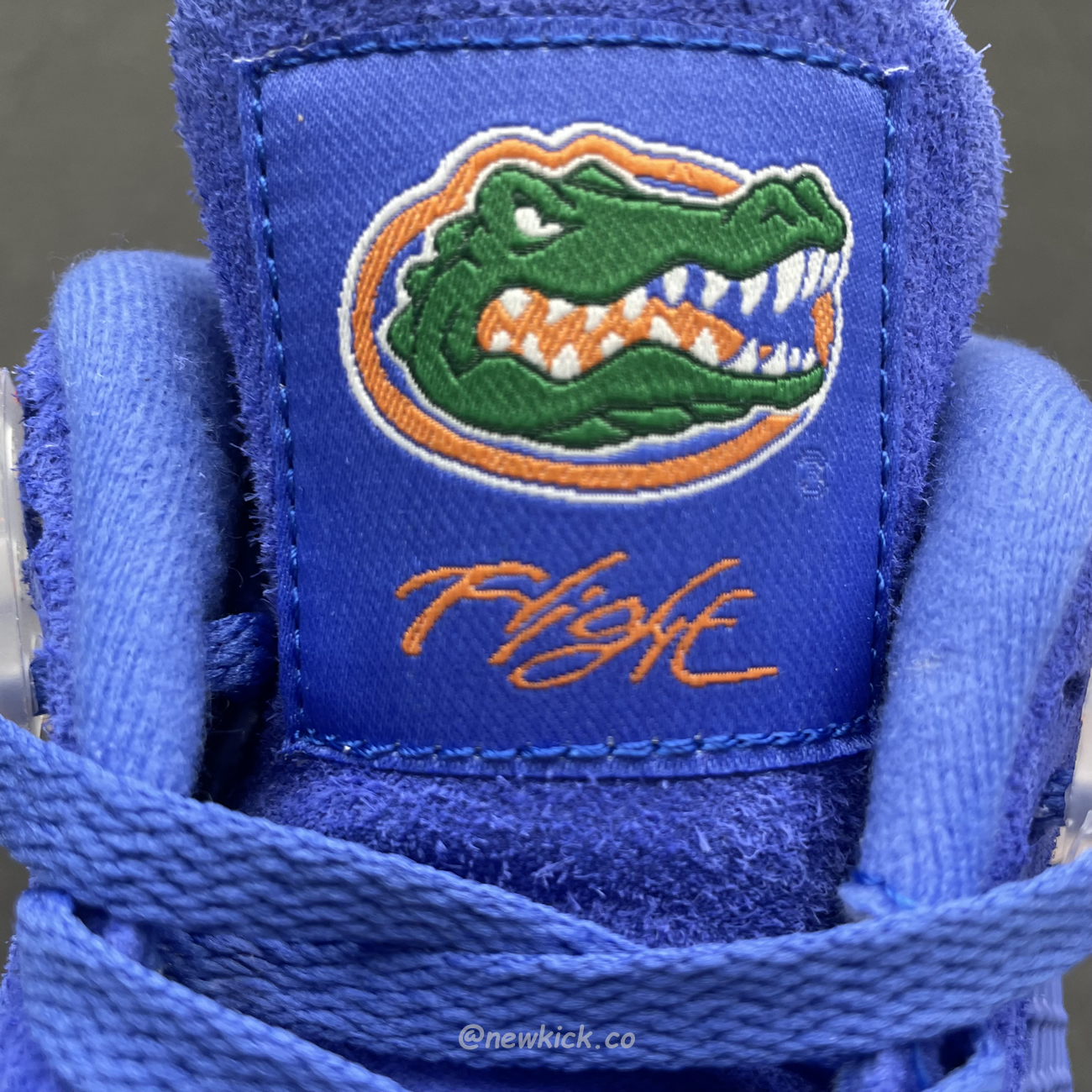 Air Jordan 4 Retro Florida Gators 904283 (5) - newkick.vip