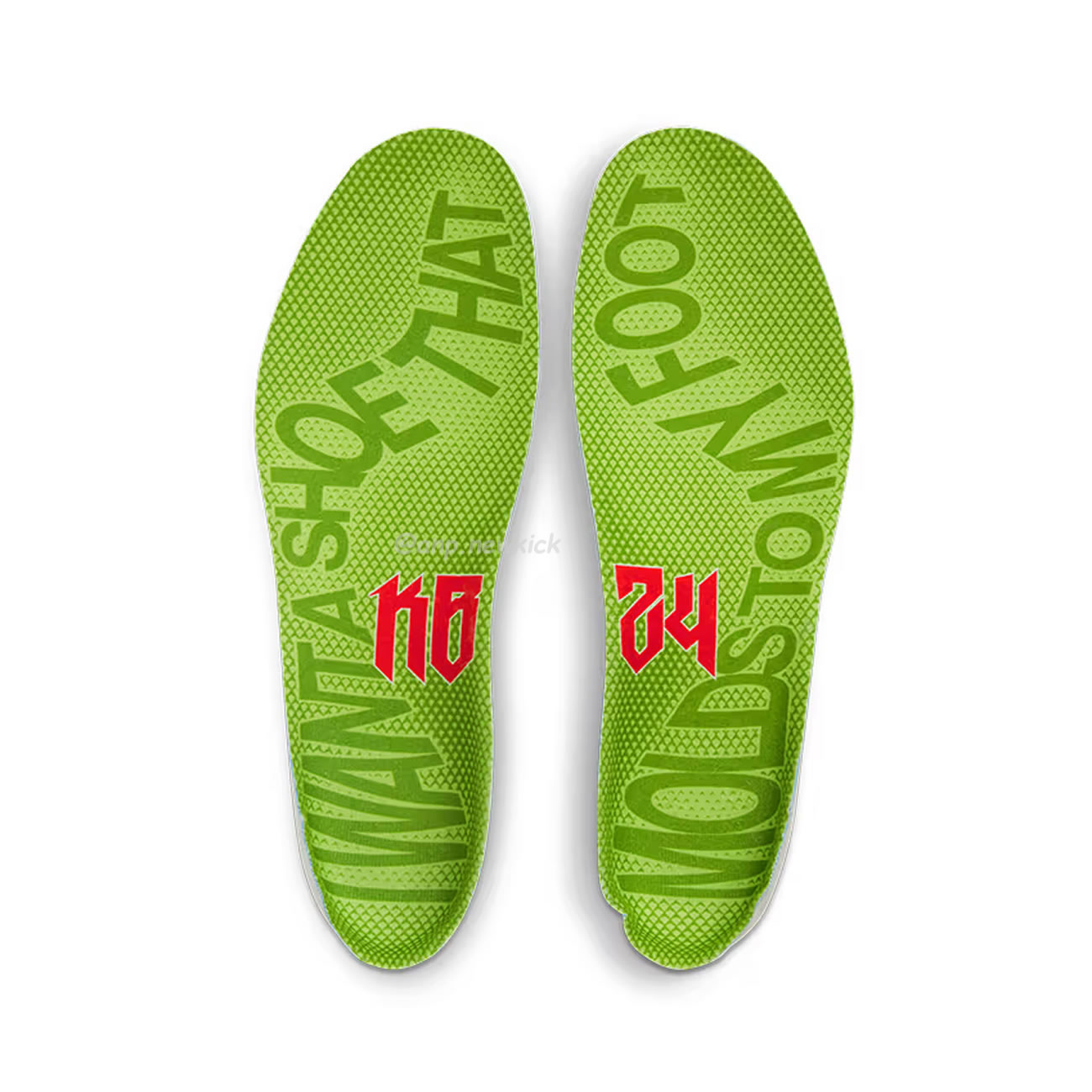 Nike Kobe 6 Protro Grinch 2020 Cw2190 300 (9) - newkick.vip