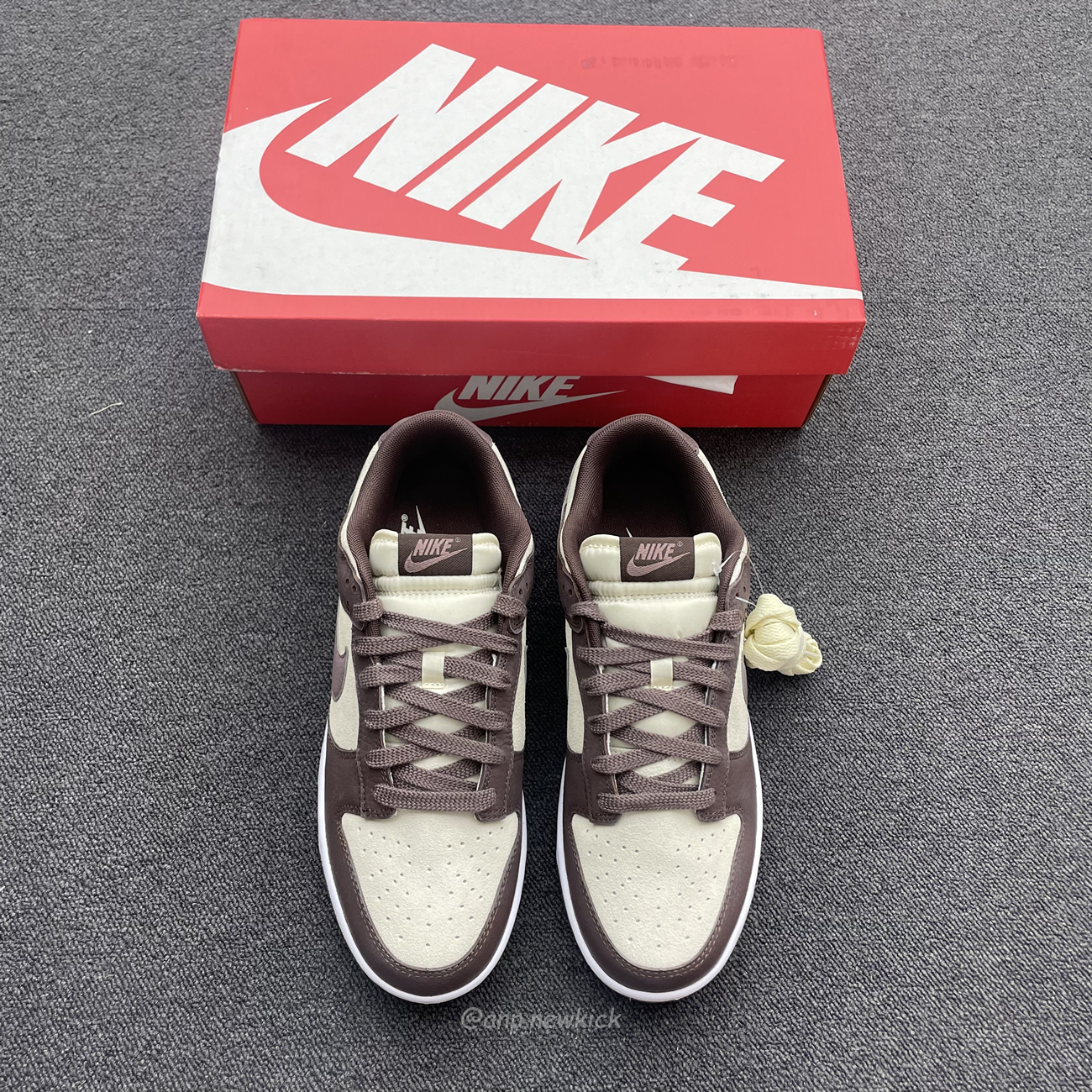 Nike Dunk Low Plum Eclipse Fj4734 100 (13) - newkick.vip