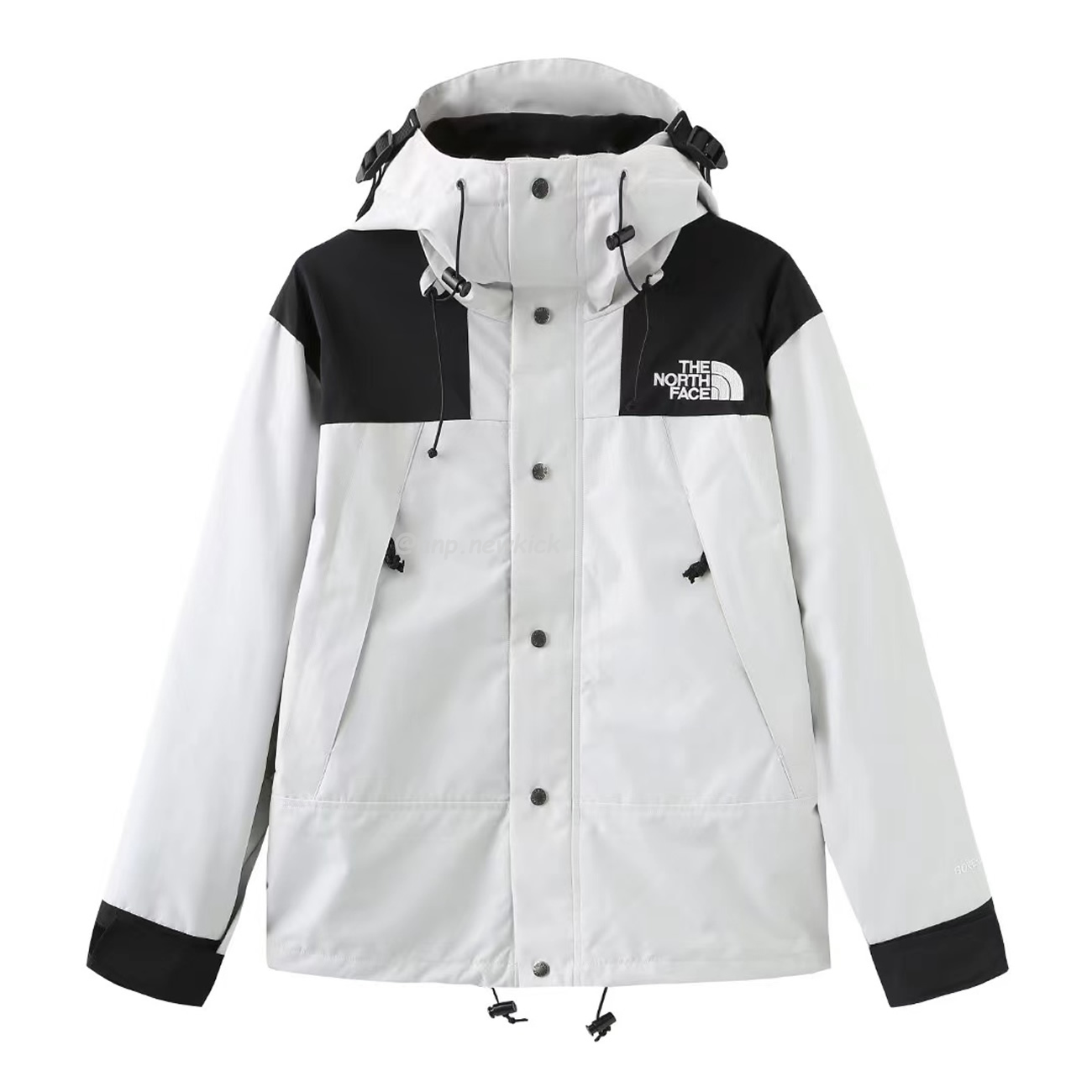 The North Face Retro 1986 Futurelight (1) - newkick.vip