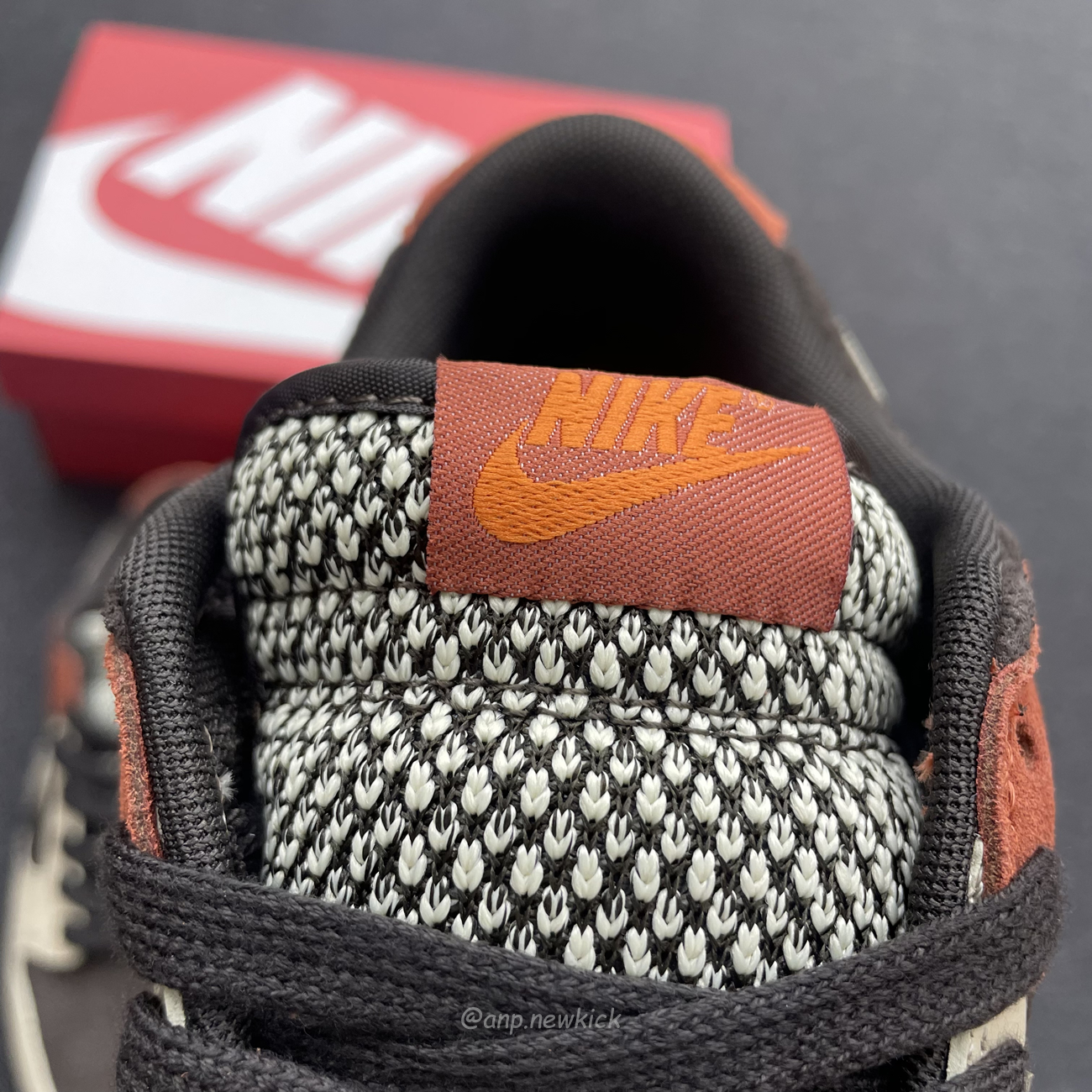 Nike Dunk Low Red Panda Fv0305 200 (10) - newkick.vip