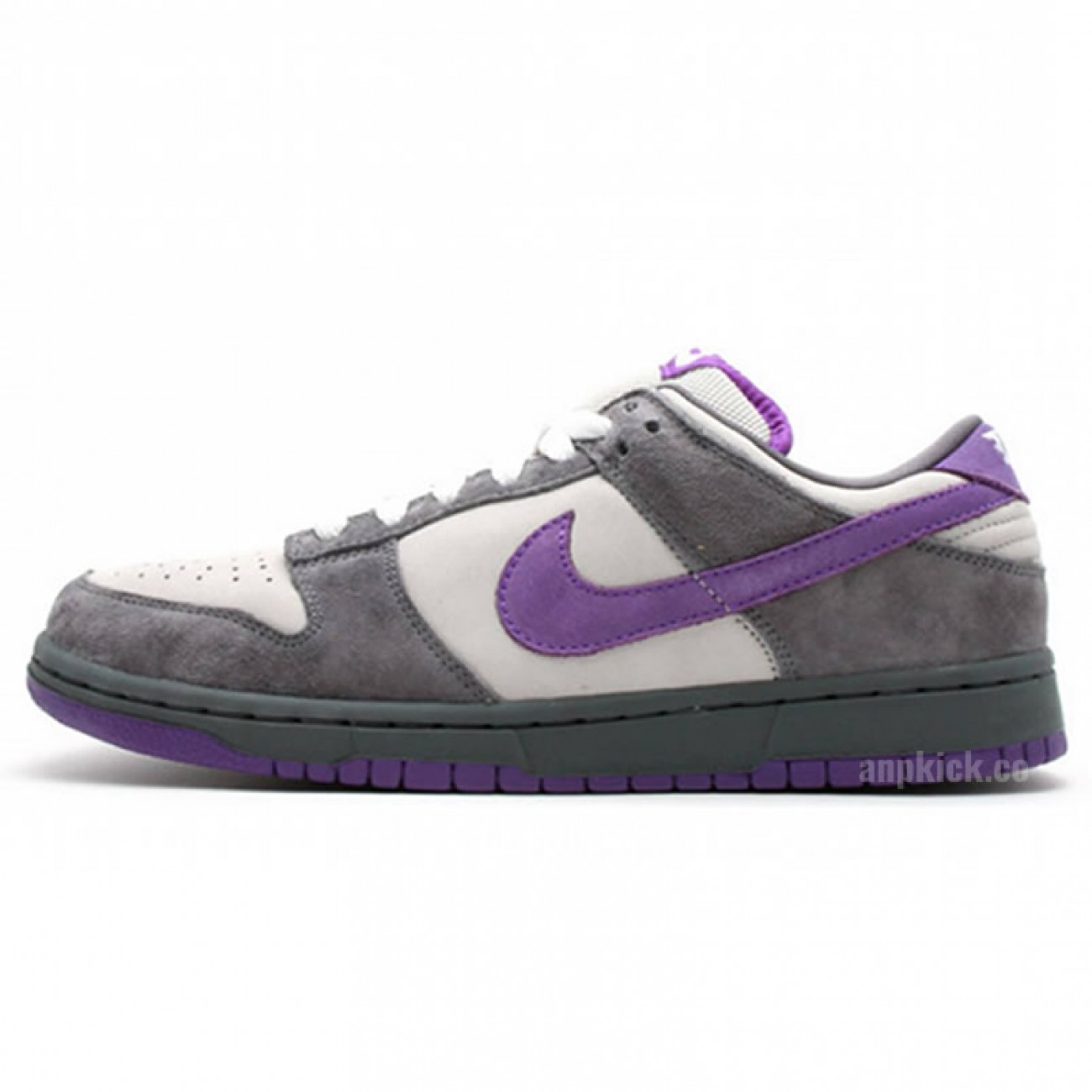 Nike Dunk SB Low Purple Pigeon 304292-051