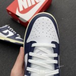 Nike Dunk Low Wmns "Vintage Navy" DD1503-115