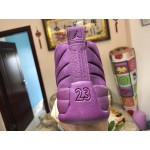 PSNY x Air Jordan 12 Purple 722027-486