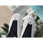 Air Jordan 14 "Desert Sand" 487471-021