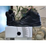 Air Jordan 5 Premium Take Flight 881432-010