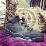 Air Jordan 5 Take Flight 881432-305