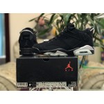 Air Jordan 6 Low "Chrome" 304401-003