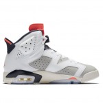 Air Jordan 6 Tinker Hatfield White Infrared Review 384664-104