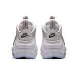 Nike Air Foamposite Pro All Star Quickstrike / Removable Swoosh AO0817-001