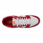 Nike Dunk Low USC DD1391-602