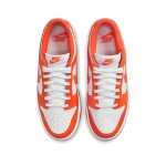 Nike Dunk Low Essential Paisley Pack Orange (W) DH4401-103