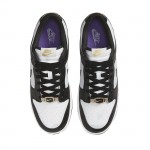 Nike Dunk Low World Champs Black White DR9511-100